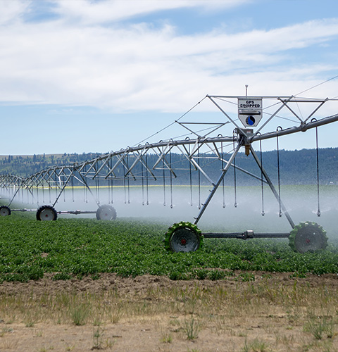 Riego Agr&iacute;cola